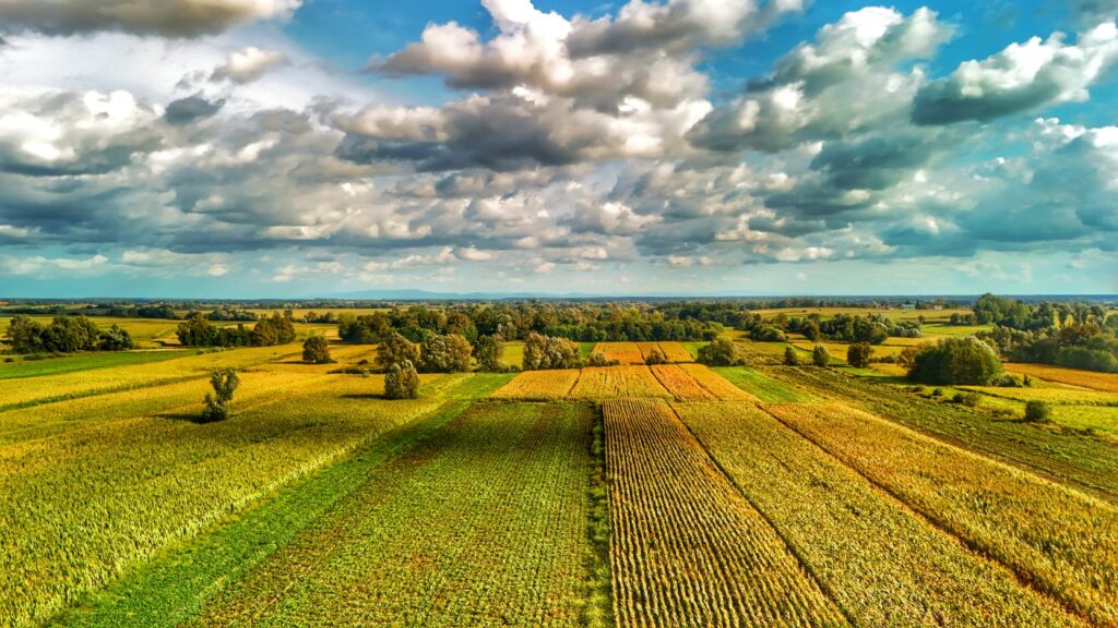 Bilogora: Općine Šandrovac, Severin i Nova Rača u jesenskom prijelazu