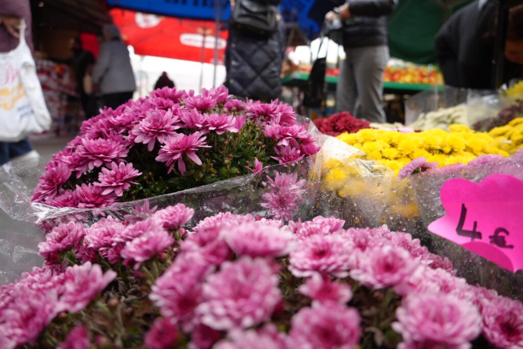 Živo, domaće i s dušom: Bjelovarska tržnica u punom sjaju pred blagdan Svih svetih
