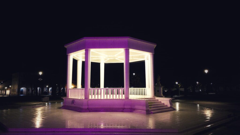 Bjelovar u ljubičastoj